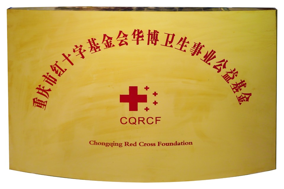 Established the Huabo Public‑Welfare Fund for Health Undertakings