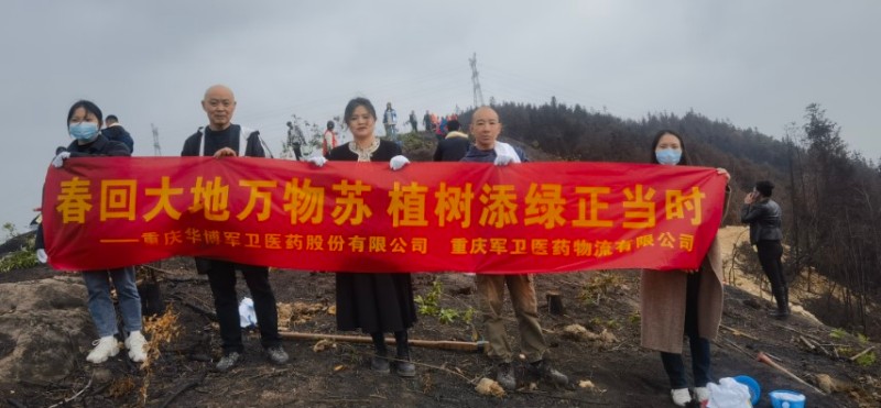 Tree-planting Afforestation Activity after Wildfires